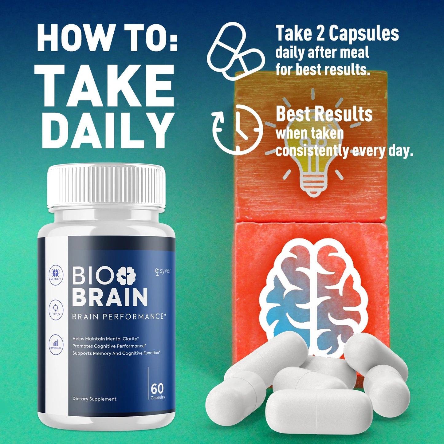 1-BioBrain 5-1 SY, 3-BioBrain 5-1 SY, 5-BioBrain 5-1 SY, 2-BioBrain 5-1 SY