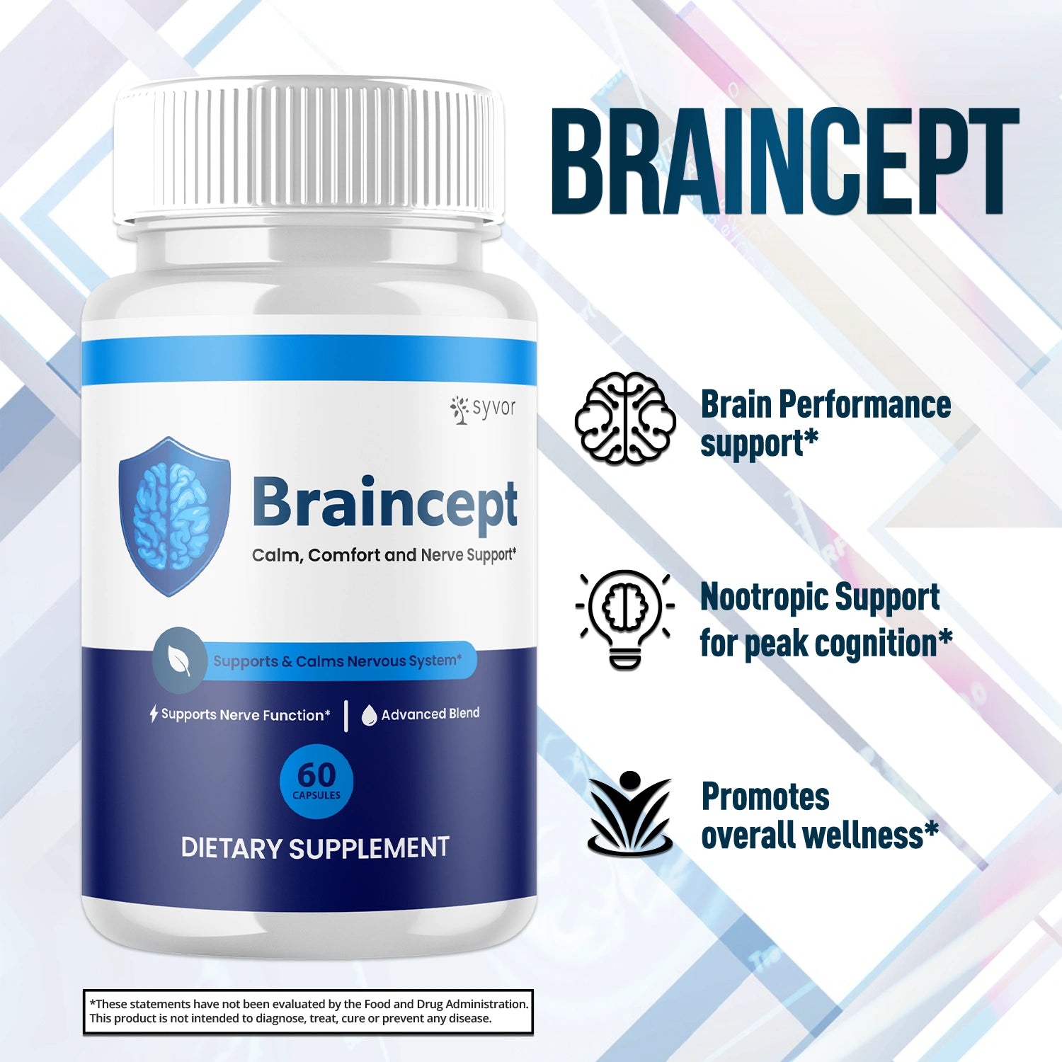 1-Braincept 5-1 SY, 3-Braincept 5-1 SY, 5-Braincept 5-1 SY, 2-Braincept 5-1 SY