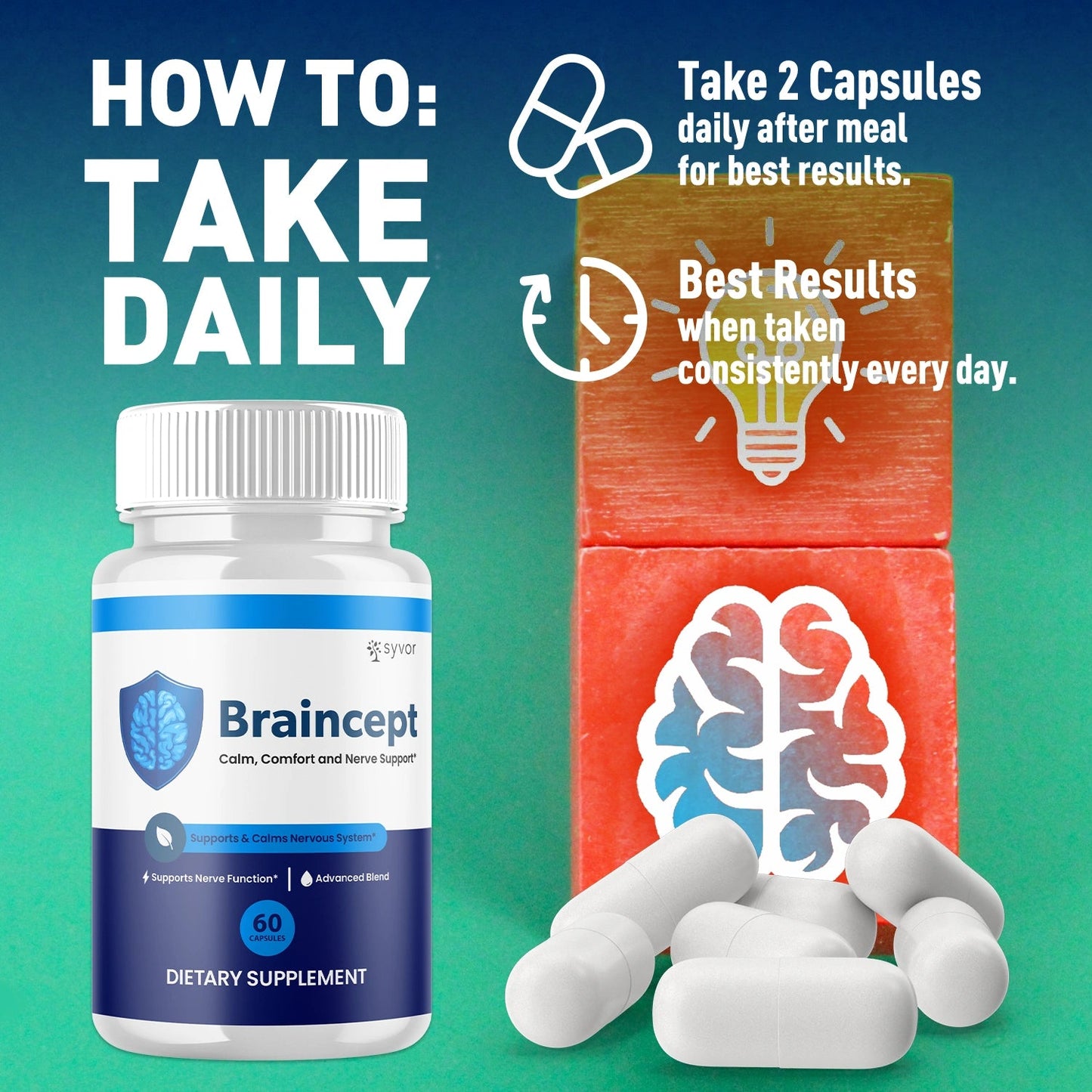 1-Braincept 5-1 SY, 3-Braincept 5-1 SY, 5-Braincept 5-1 SY, 2-Braincept 5-1 SY