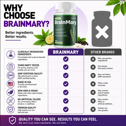 1-BrainMary 5-1 TiL, 3-BrainMary 5-1 TiL, 5-BrainMary 5-1 TiL, 2-BrainMary 5-1 TiL