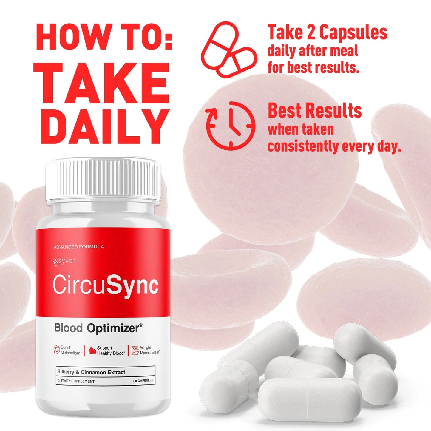 1-CircuSync 5-1 SY, 3-CircuSync 5-1 SY, 5-CircuSync 5-1 SY, 2-CircuSync 5-1 SY