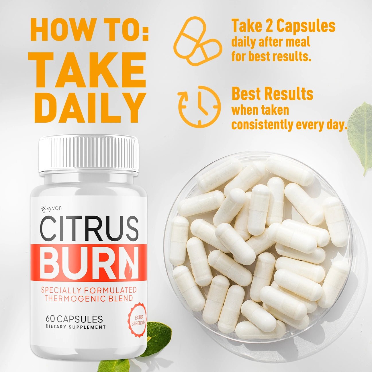 1-CitrusBurn 5-1 SY, 3-CitrusBurn 5-1 SY, 5-CitrusBurn 5-1 SY, 2-CitrusBurn 5-1 SY