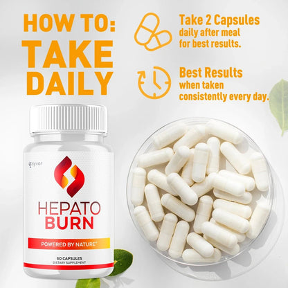1-HepatoBurn 5-1 SY, 3-HepatoBurn 5-1 SY, 5-HepatoBurn 5-1 SY, 2-HepatoBurn 5-1 SY