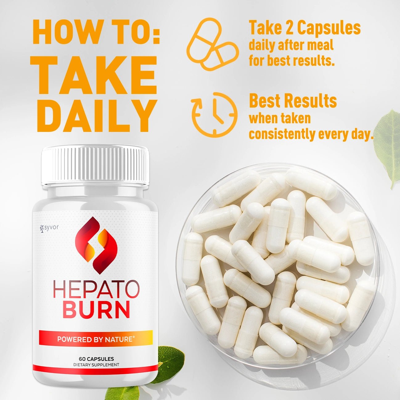 1-HepatoBurn 5-1 SY, 3-HepatoBurn 5-1 SY, 5-HepatoBurn 5-1 SY, 2-HepatoBurn 5-1 SY