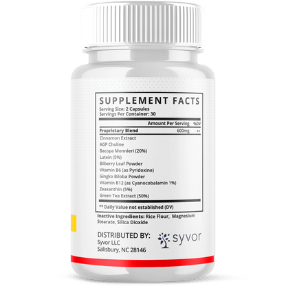 1-HepatoBurn 5-1 SY, 3-HepatoBurn 5-1 SY, 5-HepatoBurn 5-1 SY, 2-HepatoBurn 5-1 SY