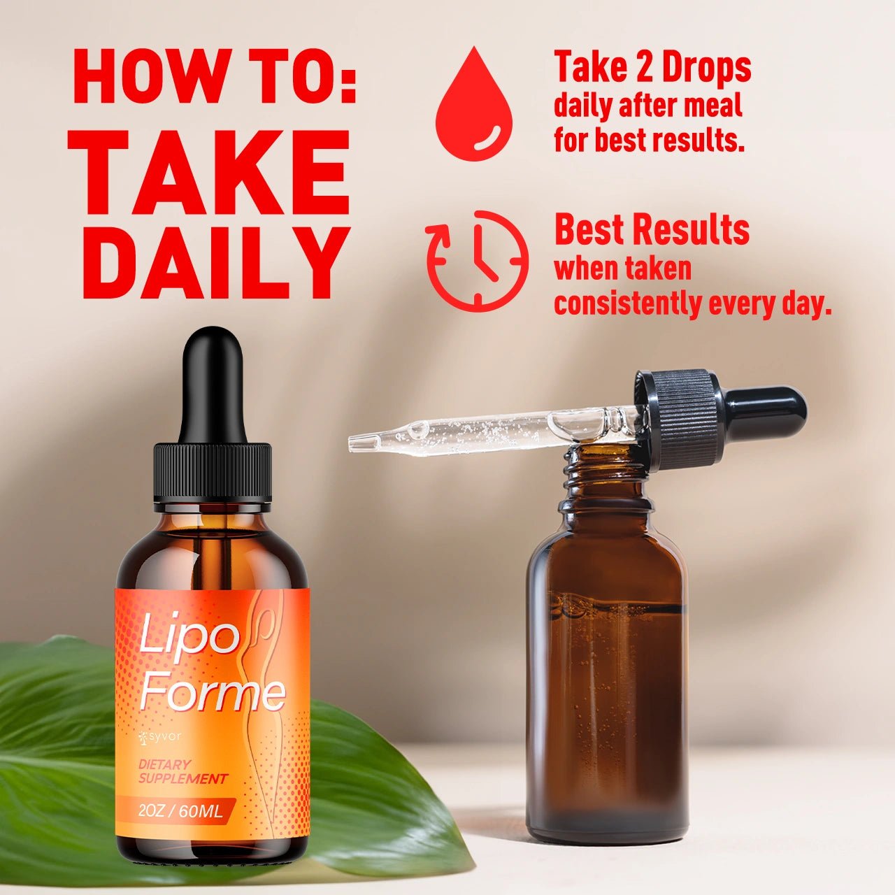 1-LipoForme BD SY, 3-LipoForme BD SY, 5-LipoForme BD SY, 2-LipoForme BD SY