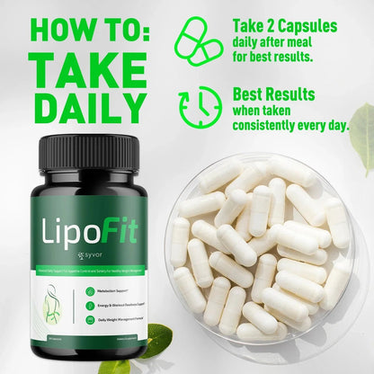 1-LipoFit 5-1 SY, 3-LipoFit 5-1 SY, 5-LipoFit 5-1 SY, 2-LipoFit 5-1 SY