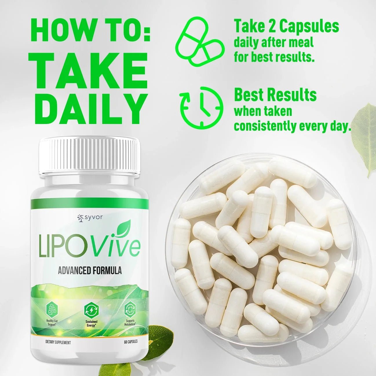 1-Lipovive 5-1 SY, 3-Lipovive 5-1 SY, 5-Lipovive 5-1 SY, 2-Lipovive 5-1 SY