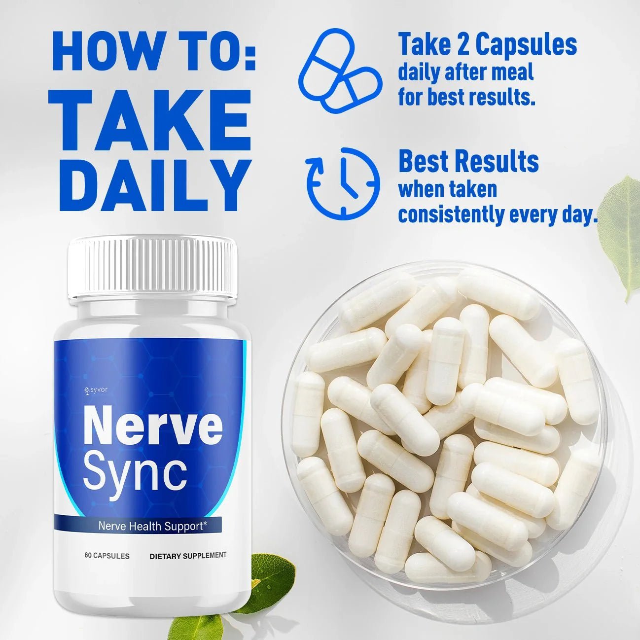 1-NerveSync 5-1 SY, 3-NerveSync 5-1 SY, 5-NerveSync 5-1 SY, 2-NerveSync 5-1 SY