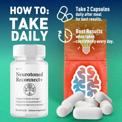 1-NeurotonedReconnect+ 5-1 SY, 3-NeurotonedReconnect+ 5-1 SY, 5-NeurotonedReconnect+ 5-1 SY, 2-NeurotonedReconnect+ 5-1 SY