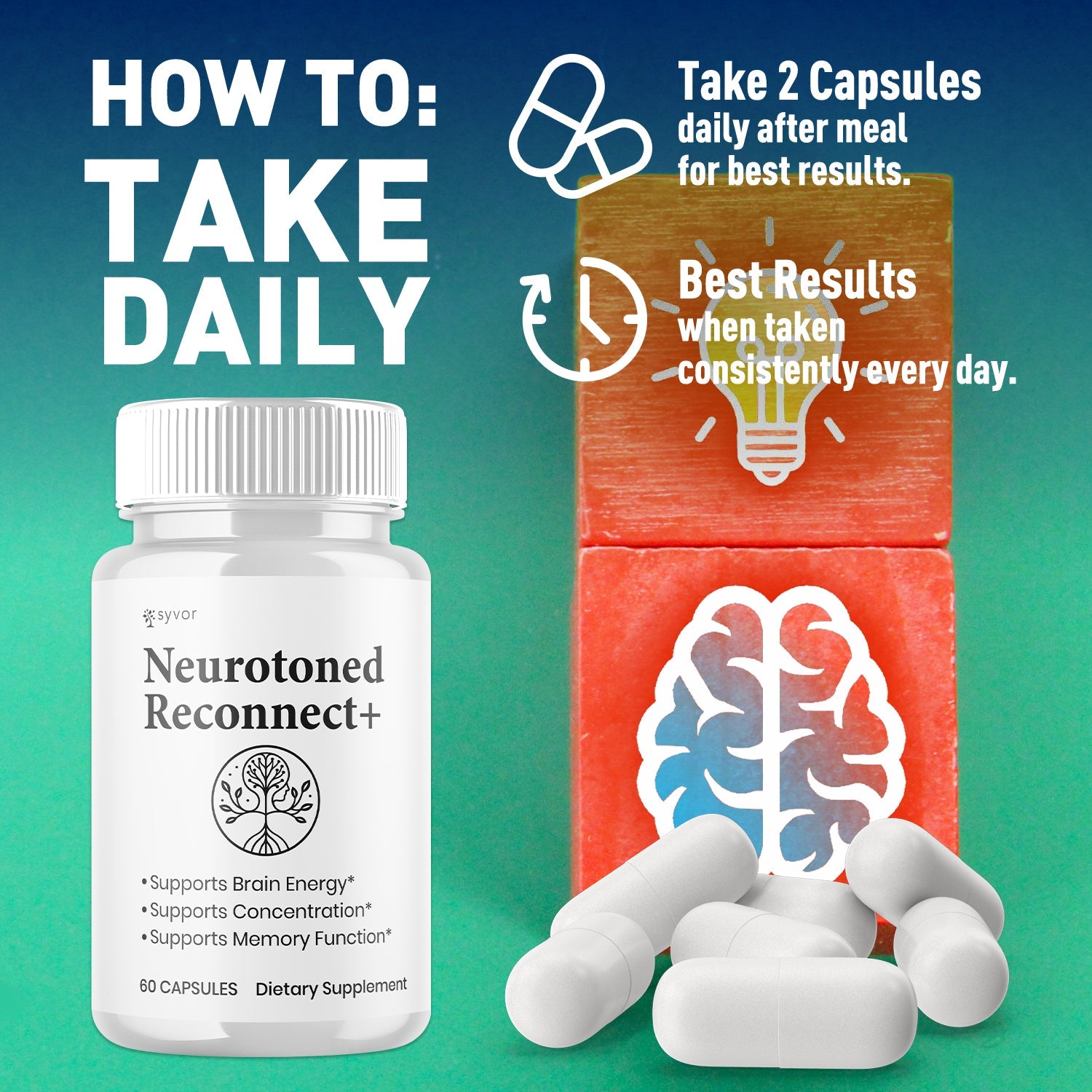 1-NeurotonedReconnect+ 5-1 SY, 3-NeurotonedReconnect+ 5-1 SY, 5-NeurotonedReconnect+ 5-1 SY, 2-NeurotonedReconnect+ 5-1 SY