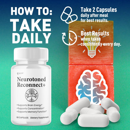 1-NeurotonedReconnect+ 5-1 SY, 3-NeurotonedReconnect+ 5-1 SY, 5-NeurotonedReconnect+ 5-1 SY, 2-NeurotonedReconnect+ 5-1 SY