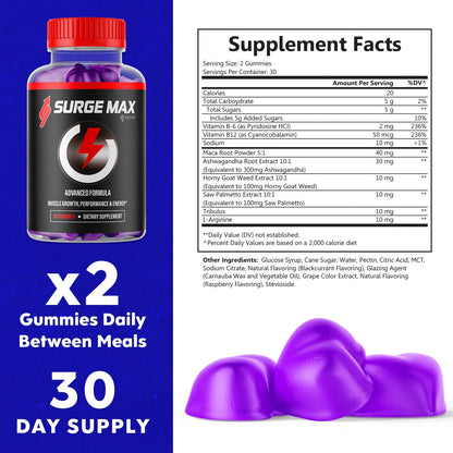 1-SurgeMax MG SY, 3-SurgeMax MG SY, 5-SurgeMax MG SY, 2-SurgeMax MG SY